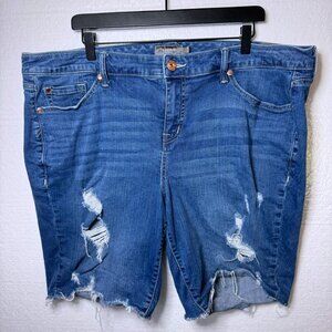 Torrid Plus Sz 22 Distressed Ripped Bermuda Denim Shorts Raw Hem High Rise Blue
